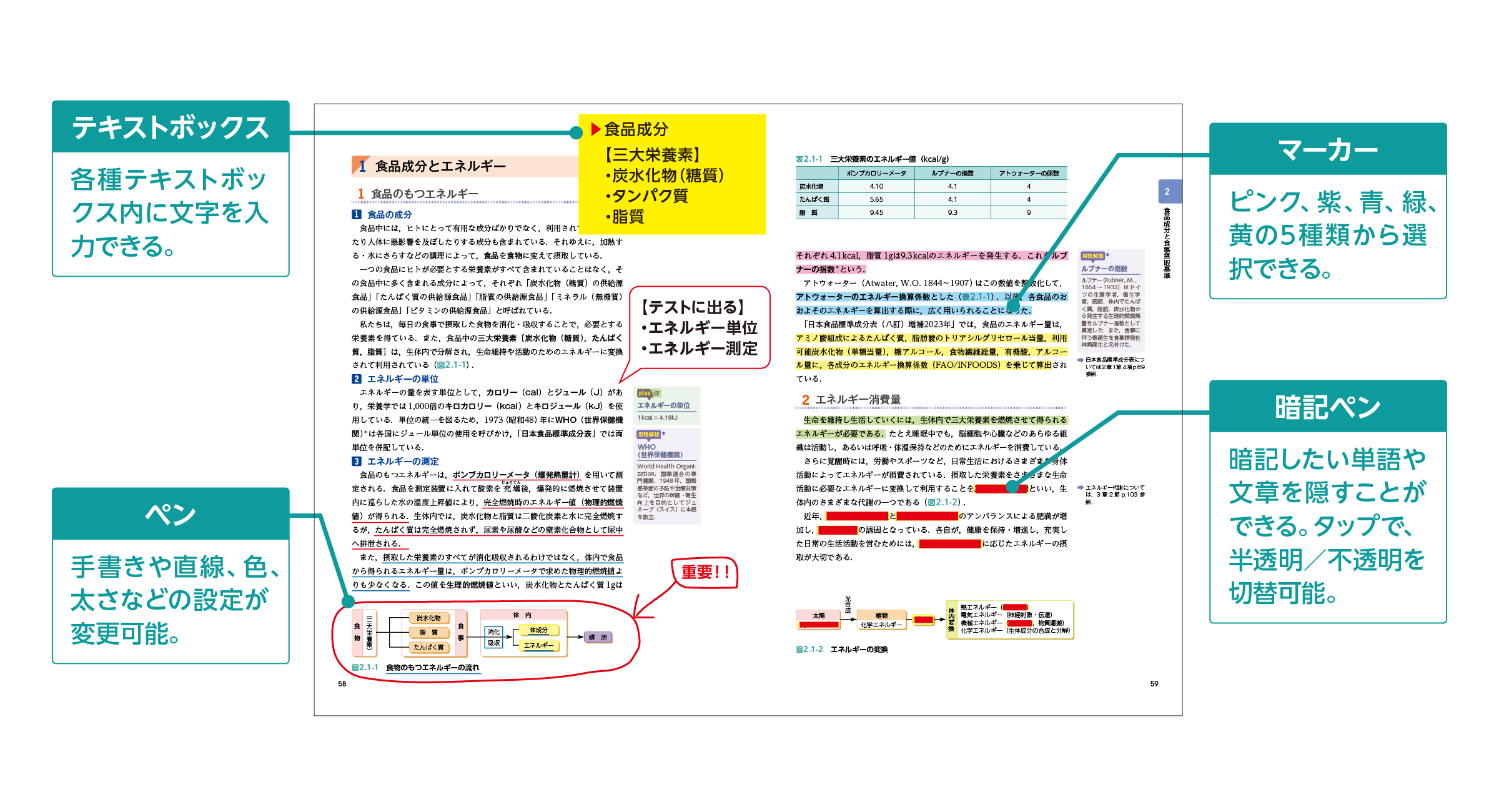 各種テキストボックス内に文字を入力できる。ピンク、紫、青、緑、黄の5種類から選択できる。手書きや直線、色、太さなどの設定が変更可能。暗記したい単語や文章を隠すことができる。タップで半透明と不透明を切替可能。